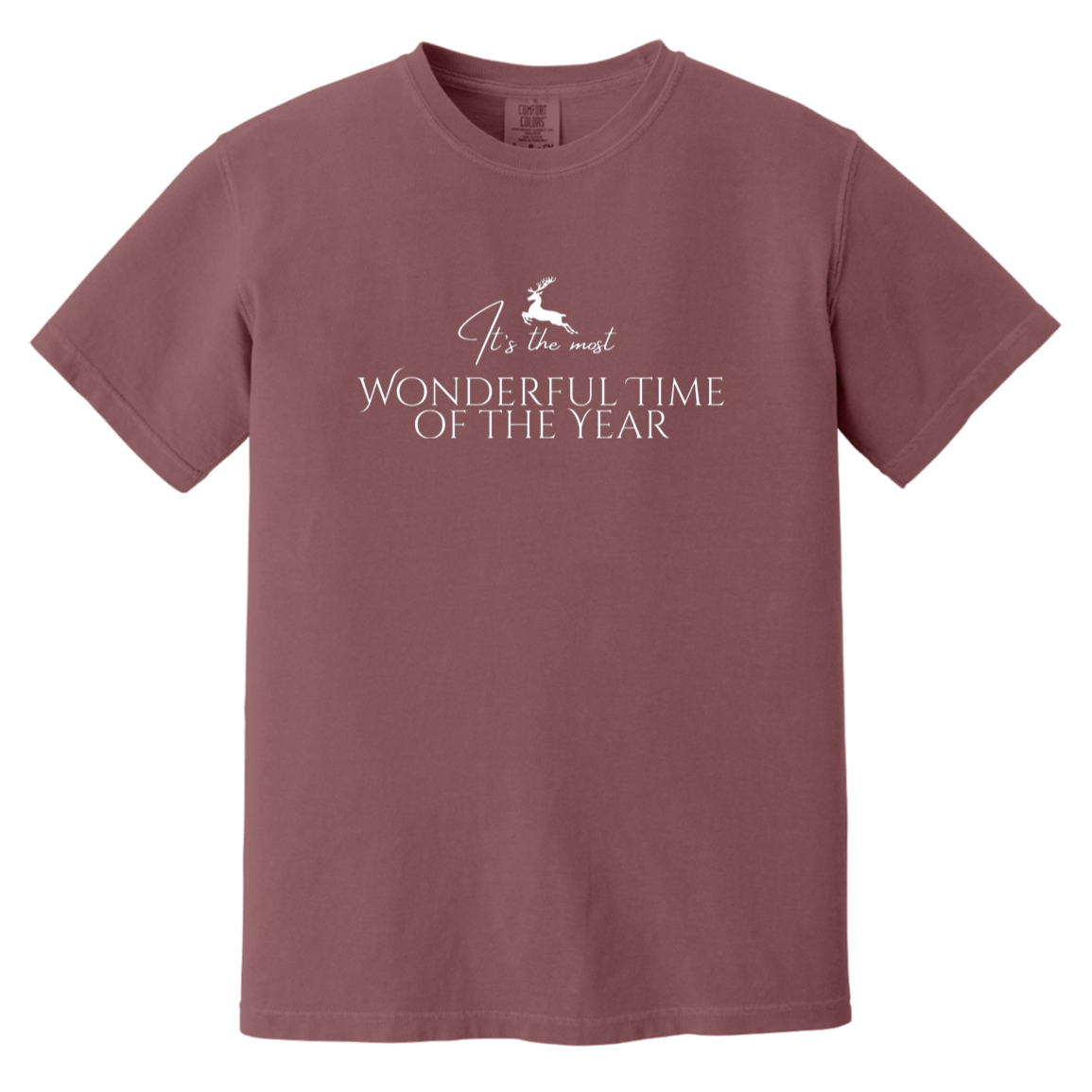 Most Wonderful Time of the Year Deer Women's T-Shirt