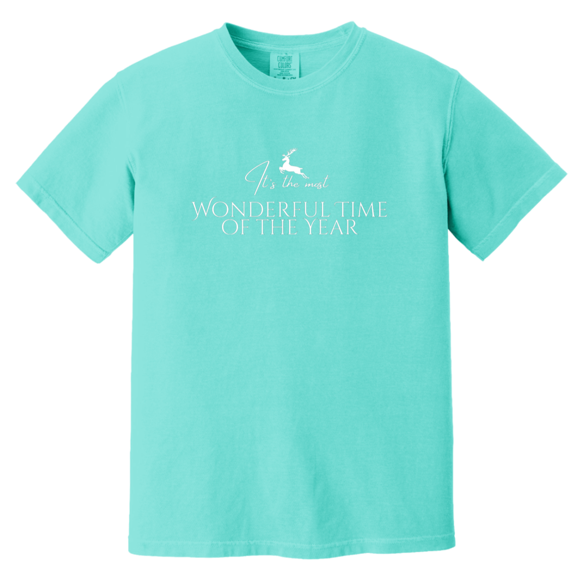 Most Wonderful Time of the Year Deer Women's T-Shirt