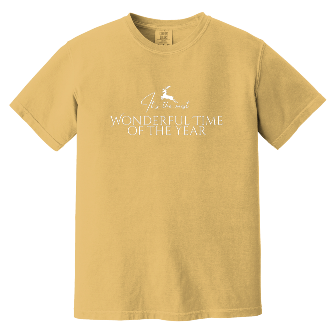 Most Wonderful Time of the Year Deer Women's T-Shirt